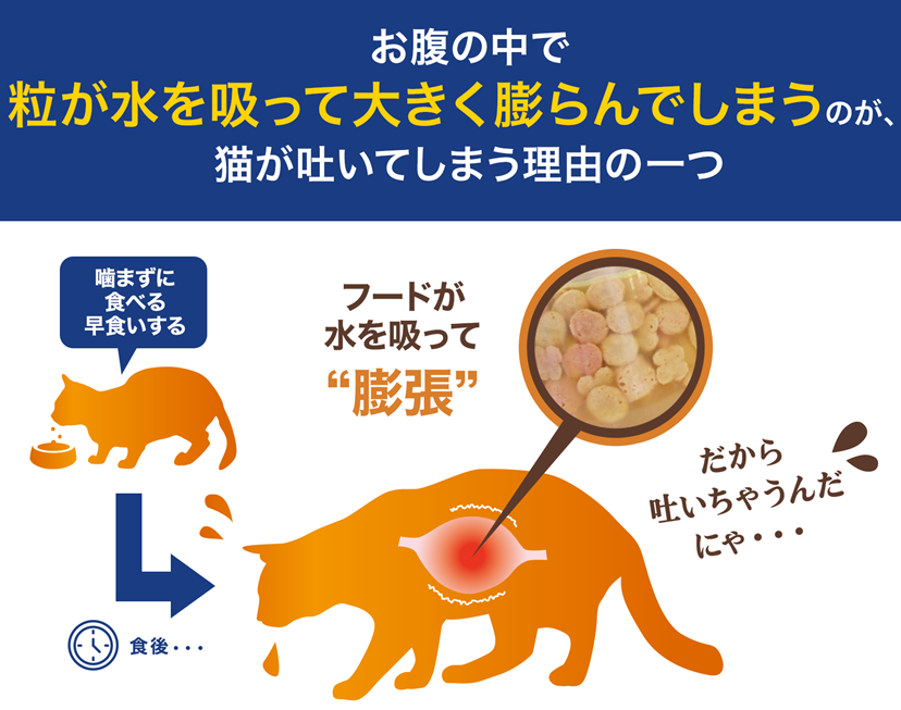 猫が毎日吐くけど元気はある…大丈夫?考えられる原因と受診の判断基準 | モフモフラボ